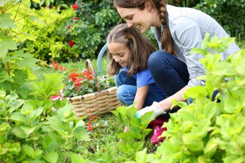 Person using accessible landscaping website features on a laptop