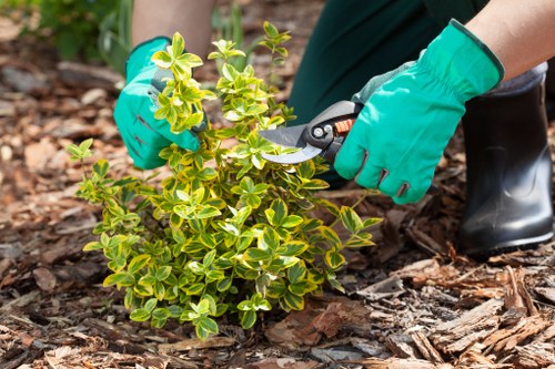 Garden landscaping project planned for a Sevensisters home with new planting and paving