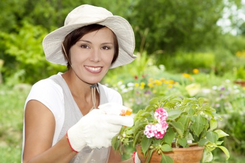 Maintenance check of landscaping equipment and tools
