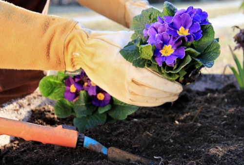 Ongoing review of accessible landscaping website content