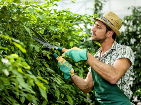Worker wearing PPE during landscaping maintenance in Sevensisters